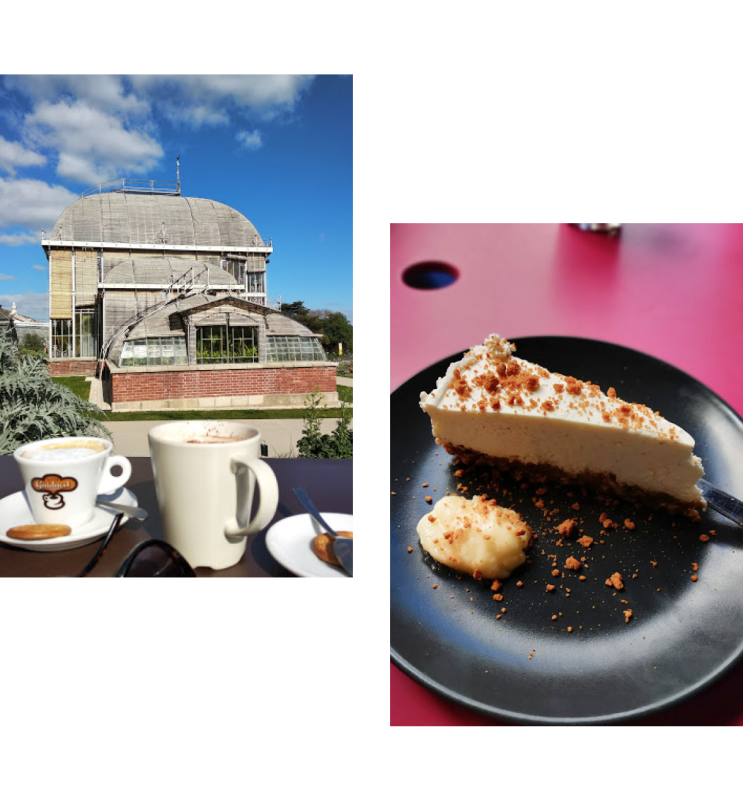 Le restaurant - Café de l'Orangerie - Nantes - top restaurant NANTES